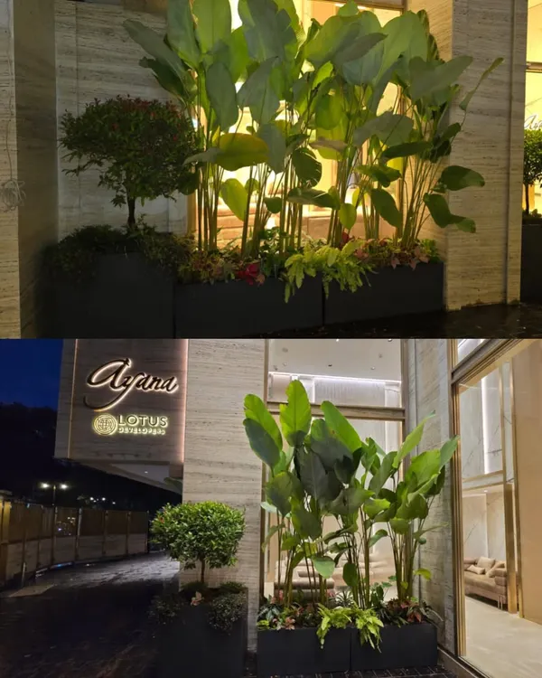 A night view of our plant installation at the entrance of the Ayana residential complex. The strategic lighting highlights the tall plants, creating a dramatic and luxurious welcome for residents and guests.