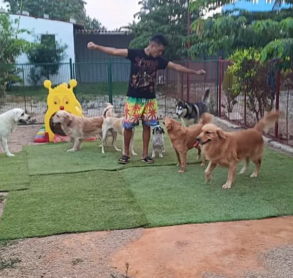 Come on, let's play..... I love getting right in the middle of the fun with the whole pack. There's nothing better than seeing so many happy faces and wagging tails in our play area.