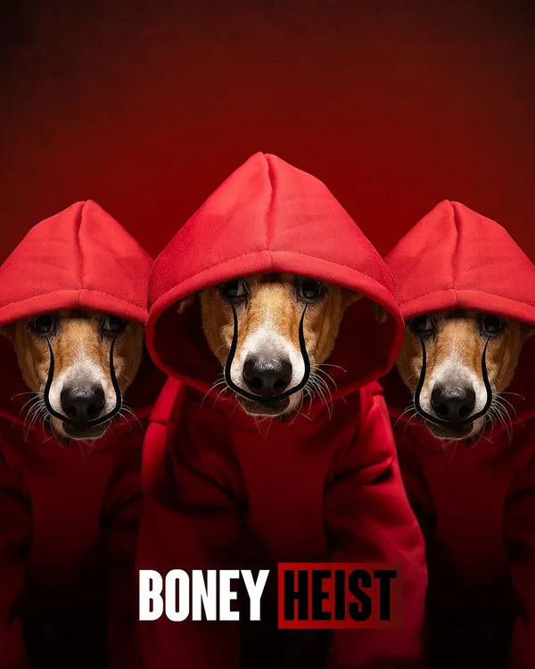 This is from my "Boney Heist" concept for the CARE 2024 calendar. I love creating entire worlds for my animal subjects, turning a simple photoshoot into a memorable story that grabs attention.