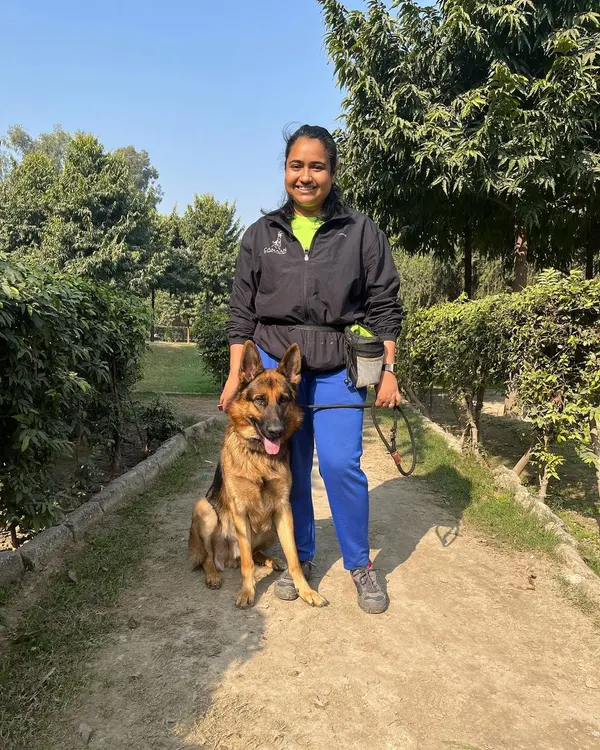 Working with powerful breeds like this German Shepherd requires a deep understanding of their drive and intelligence. I use structured training to channel their energy positively, building a respectful and obedient companion.