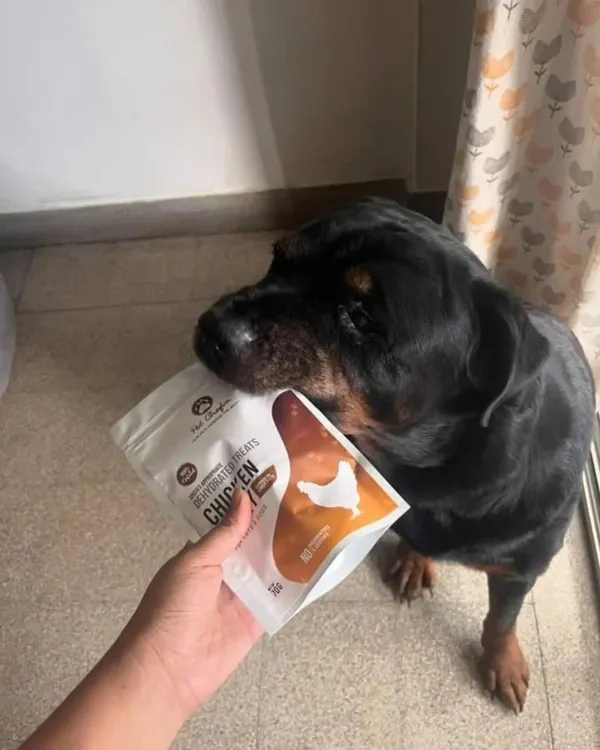 The gentlest giant enjoying his favorite chicken jerky. This moment of trust and happiness between a pet and their person is what we're all about.