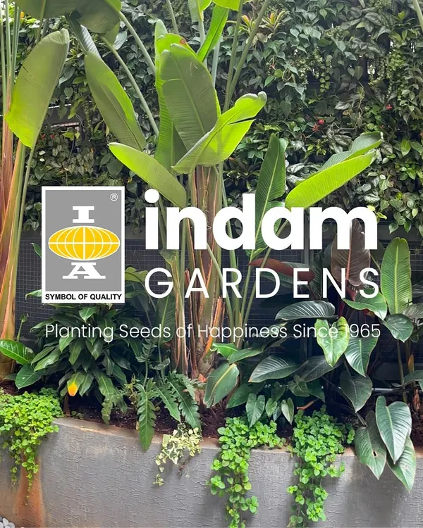 Imagine waking up to this lush sanctuary every day. For this residence, we created a wraparound garden featuring vertical walls of Peperomia, Anthuriums, and Philodendrons to bring the outdoors in.