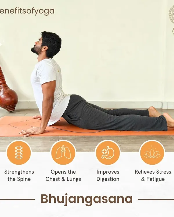 Bhujangasana (Cobra Pose) is a foundational heart-opening backbend. This infographic explains how it strengthens the spine, opens the lungs, and relieves stress.