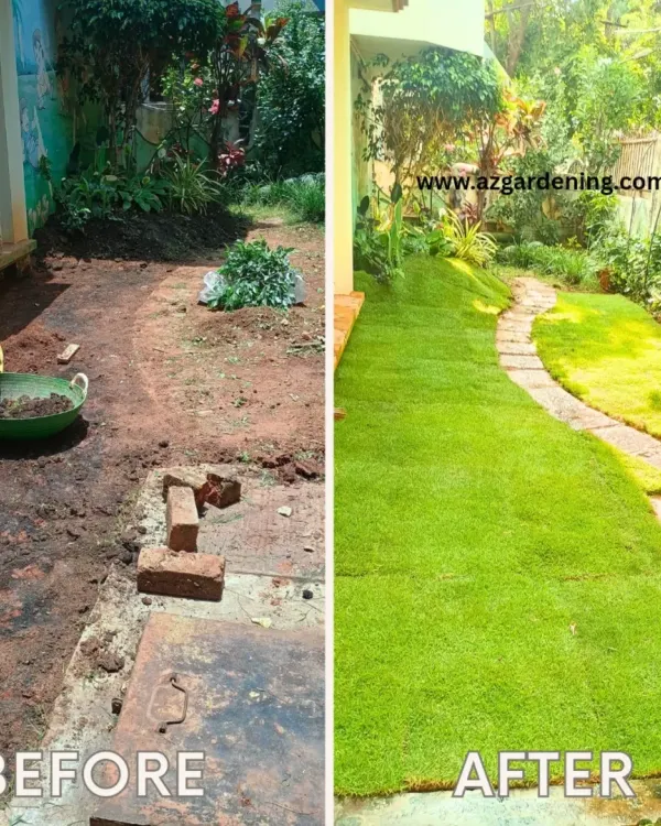 A dramatic before and after of a backyard makeover. I cleared the uneven, muddy patch and installed a healthy new lawn with a neat stone pathway, instantly upgrading the home's outdoor appeal.