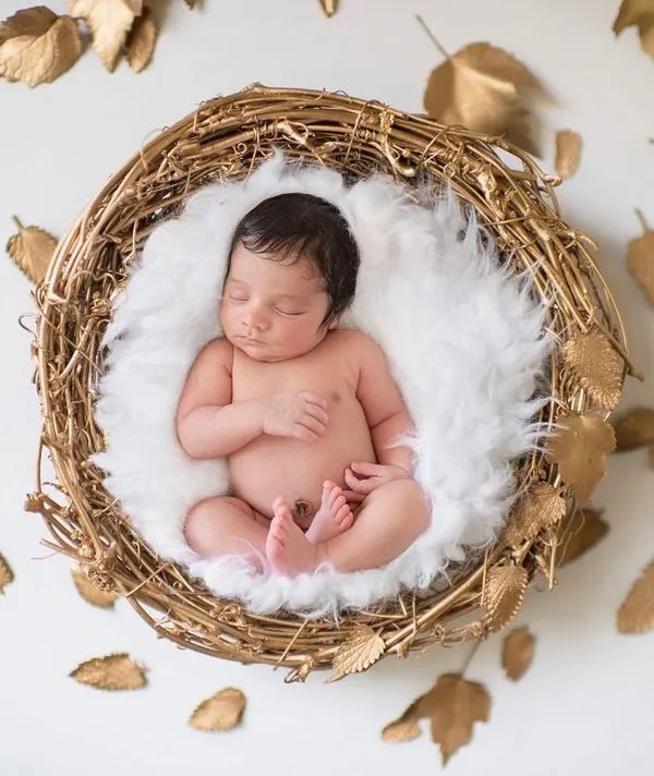 This is the kind of timeless art I love to create. We nestled this precious newborn into a soft, golden nest, surrounded by delicate leaves, capturing the pure and peaceful sleep of their first few days. Every detail is planned to create a beautiful, serene portrait you will treasure forever.