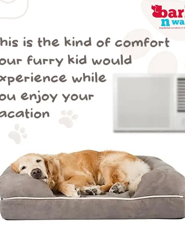 This is the level of comfort your furry kid will experience with us. While you're on vacation, they'll be relaxing in their own cozy, air-conditioned space.