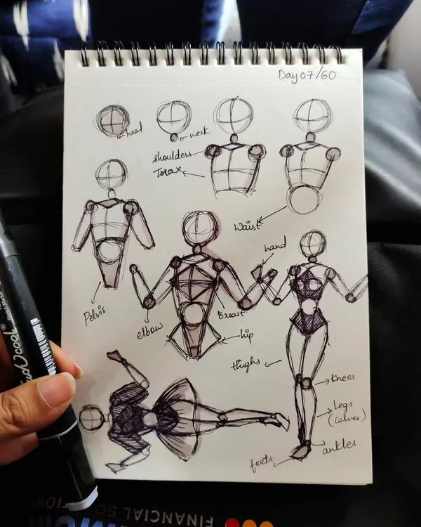 Day 7 of my doodle challenge. Practicing human anatomy, from the basic structure of the head and torso to the placement of limbs.