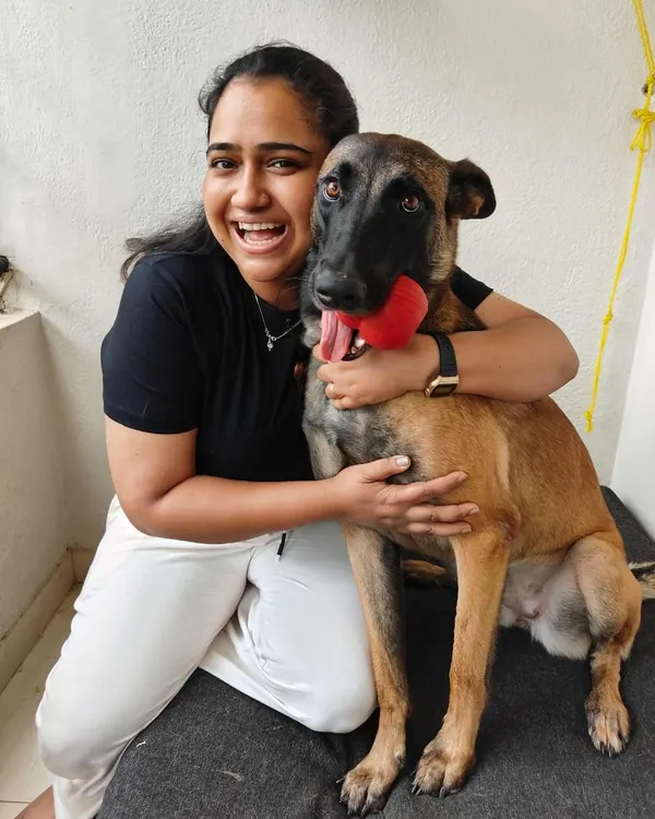 Two years ago, I took a giant leap of faith and quit my corporate job to pursue my love for dogs full-time. This journey, filled with dogs like this amazing Belgian Malinois, has been the most rewarding decision of my life.