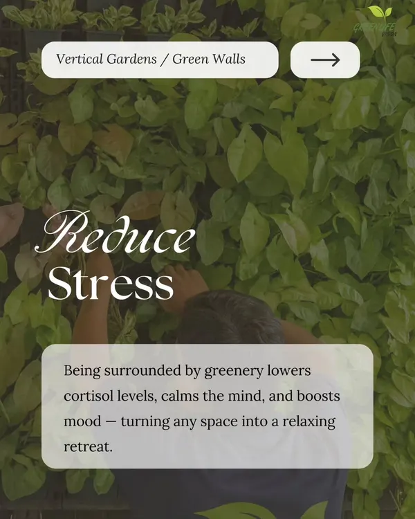 A green wall is more than just decor; it's a wellness feature for your home. Being surrounded by greenery is proven to lower stress and boost your mood. We create these living walls to turn any space into a relaxing retreat.