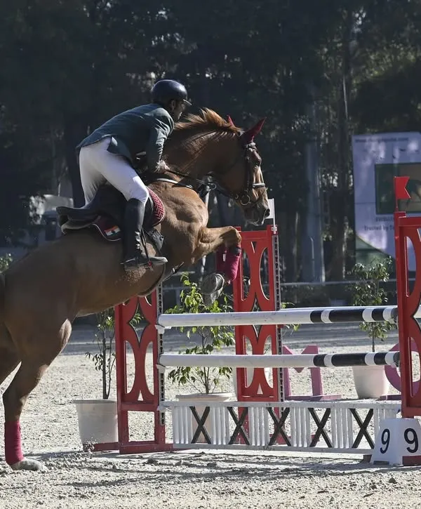 This is the power and grace we cultivate. A rider and horse in perfect sync, clearing a jump during the National Equestrian Championship, demonstrating the peak of show jumping training we offer.