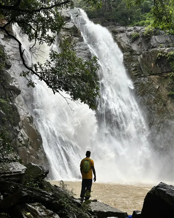 This is the feeling I chase. Standing before the raw power of nature, you feel both small and infinite. I find these hidden giants in the Western Ghats and take you there, away from the crowds, to experience these adbhutavadanthaha (amazing) moments.