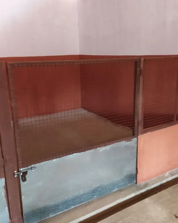 A close-up view of one of our individual kennels. We designed them to be a safe, private, and comfortable retreat for your dog's downtime and overnight stays.