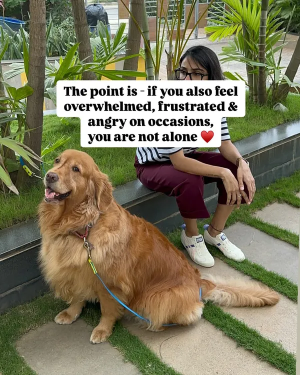 If you feel overwhelmed, frustrated, and angry on occasion, you are not alone. Raising a human and a dog together is a beautiful journey, but it's also incredibly demanding. It's okay to admit that this is hard.