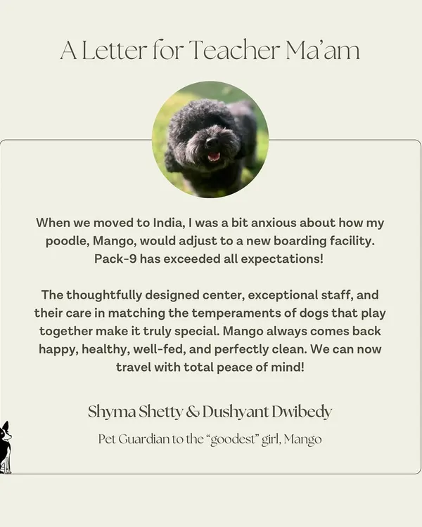 Hearing from happy pet parents is the reason I do what I do. This wonderful note from Mango's family shows the peace of mind that comes from knowing your dog is in a safe, caring, and perfectly clean environment.