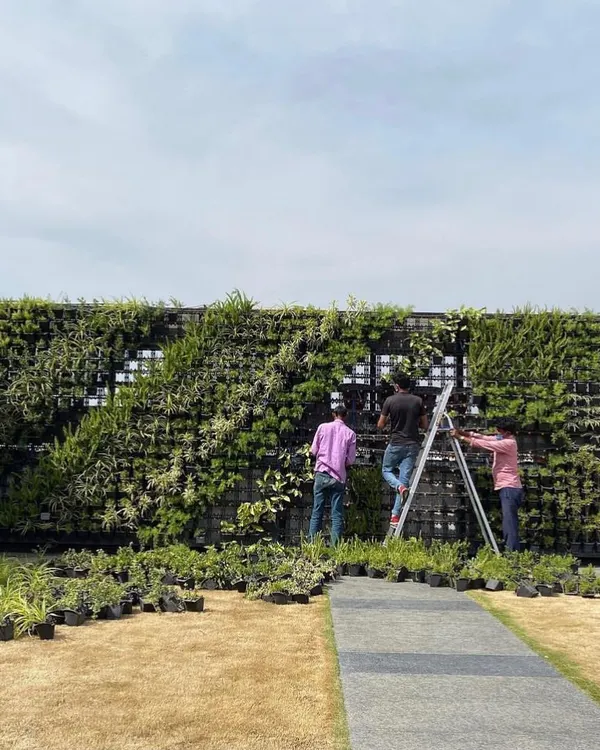 Here is our team during the installation of a large-scale outdoor vertical garden. Each plant is carefully placed into the modular panels to create the final design.