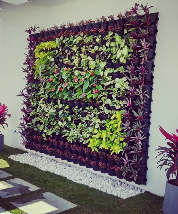 This is a living vertical garden I created for a residential terrace in Rammurthy Nagar. I carefully arranged a variety of live plants with different colors and textures to build a lush, green feature wall that brings the whole space to life.
