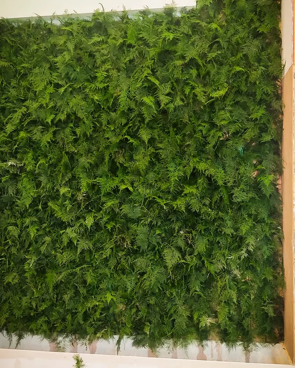 This full-scale living wall, created for an event at Pragati Maidan, shows the dramatic impact of using dense greenery. I use real, healthy plants to build these installations, creating a fresh and vibrant atmosphere that draws people in.