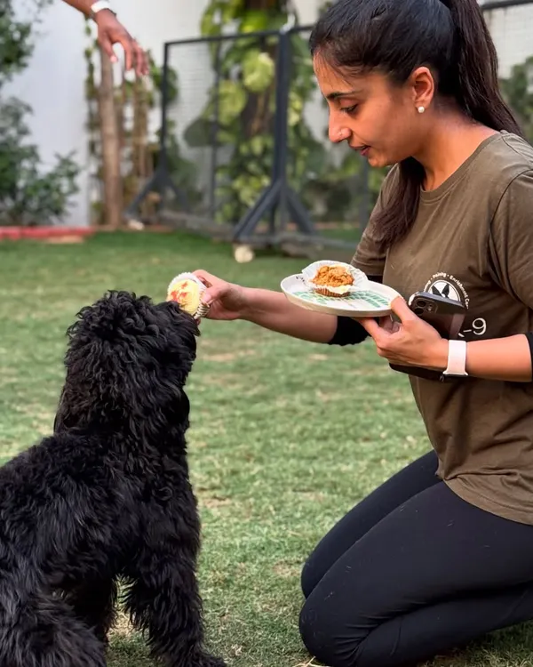 This is Kai on his graduation day, enjoying a well-deserved pup-cake. He completed our Basic Obedience and Behaviour Modification Program, where we worked on his hyperactive mindset, leash manners, and impulse control.