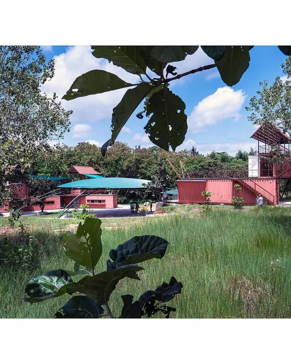 Our Earth Alive project, a re-wilded space built from shipping containers, sits gently in a field, embodying our principles of slowness, diversity, and play.