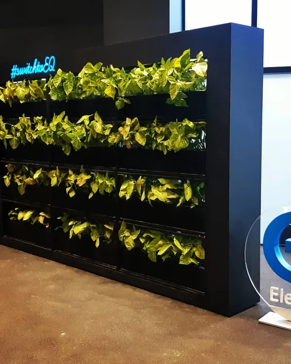 This is the completed vertical garden we installed for the Mercedes-Benz EQ electric vehicle launch. The living wall serves as a powerful visual symbol of the brand's commitment to sustainability and green technology.