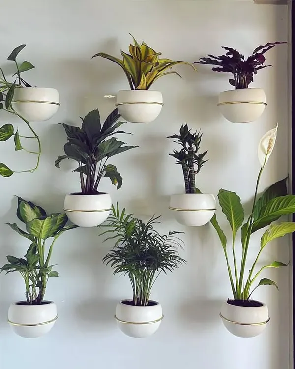 The small joys of life, inspired by a client's creativity. This beautiful wall display uses a variety of indoor plants like Pothos, Peace Lily, and Palms in matching white planters to create a living art piece.