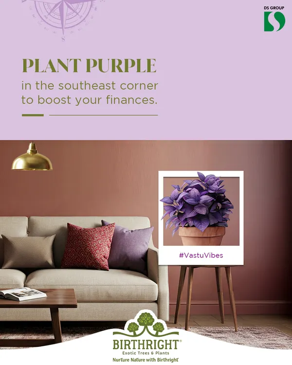 To activate your financial zone, Vastu suggests placing purple plants in the southeast corner. I can help you choose the perfect purple plant, like an Aglaonema or Coleus, to invite abundance.