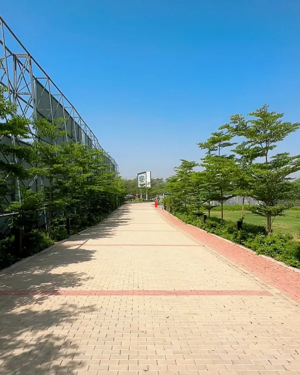 A finished view of the tree-lined pathway at the Adani Realty corporate site in Gurugram. We selected and planted Terminalia and other hardy trees to create a formal, shaded walkway.