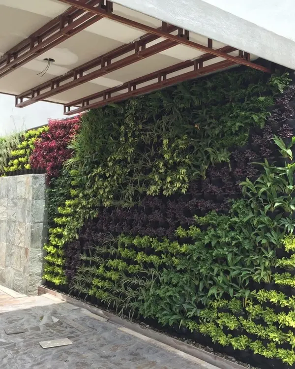This lush vertical garden installed under a covered entryway brings a vibrant wall of life to the building's exterior. We used a mix of green and dark purple foliage plants to create a rich, textured look.