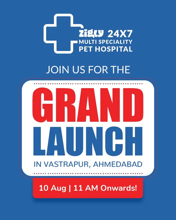 Announcing the grand launch of our 24x7 Multi-Speciality Pet Hospital in Vastrapur, Ahmedabad. We invite the community to join us for a day of celebration and special offers.
