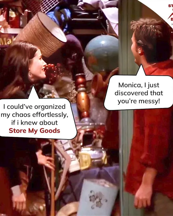 Even Monica Geller had a secret messy closet. If only she knew about me, she could have organized her chaos effortlessly. Don't be a Monica, let me help.