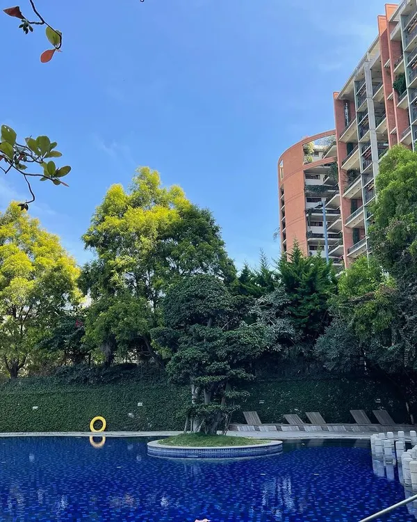 The perfect blend of modern living and natural tranquility. This property features a large, inviting swimming pool set against a backdrop of lush trees and contemporary architecture.