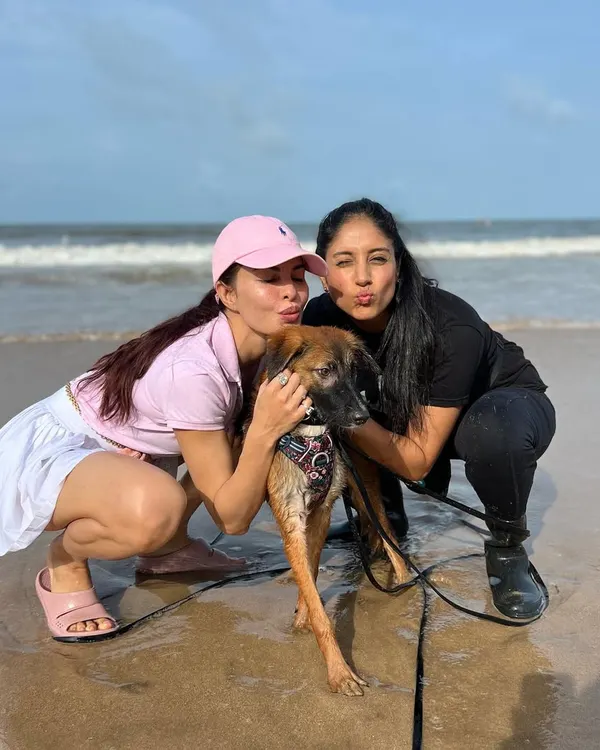 Yolo, one of the "box puppies" we rescued, hit the jackpot! He was adopted by the wonderful Jacqueline Fernandez and is now living a life of love and adventure. It's a true fairytale ending for this sweet boy.