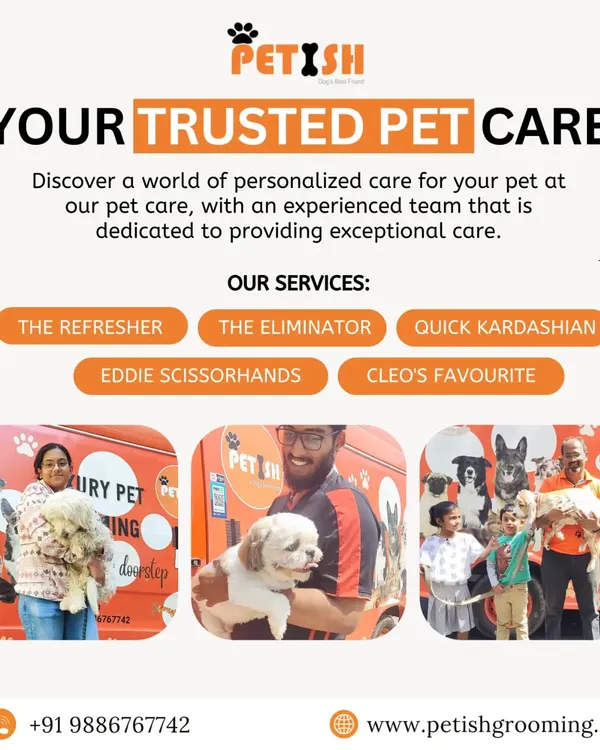 Here’s a quick look at my most popular grooming packages. Whether you need "The Refresher" or a full "Cleo's Favourite" spa day, I have a service tailored for your pet.