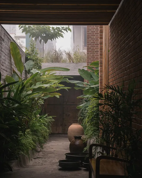 A misty morning in the central passage of the Valsad home. I used layers of shade-loving plants like ferns and large-leafed Alocasia to create a cool, tranquil atmosphere that connects different parts of the house.