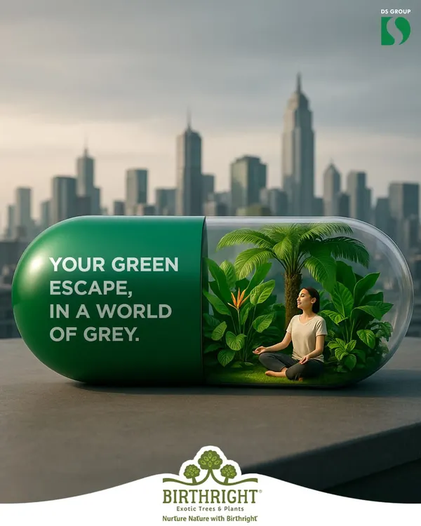 In a world of grey, I offer a green escape. Plants are like a dose of nature's medicine, a living sanctuary against the concrete jungle.