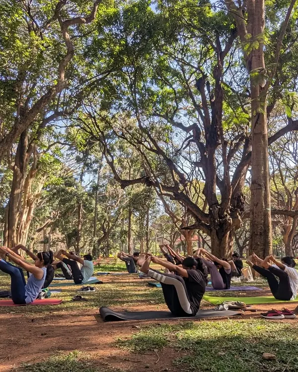 This is what we do. Every Sunday morning, we gather under the canopy of Cubbon Park to move, breathe, and just be. This moment, holding a pose together, surrounded by nature, captures the essence of our outdoor Hatha Vinyasa practice.