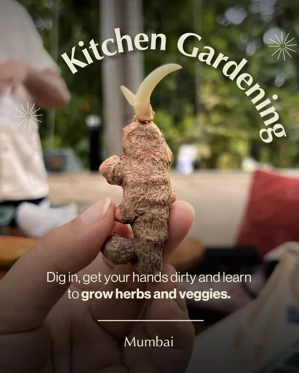 Dig in, get your hands dirty, and learn to grow your own herbs and veggies. Our Kitchen Gardening workshop in Mumbai is a grounding experience that connects you with your food and the soil.