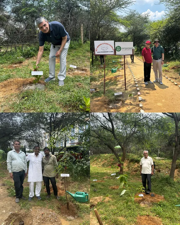 Members of the DLF Senior Citizen Council stand proudly by the saplings they planted at Aravali Forest, each one dedicated in memory of friends and family.