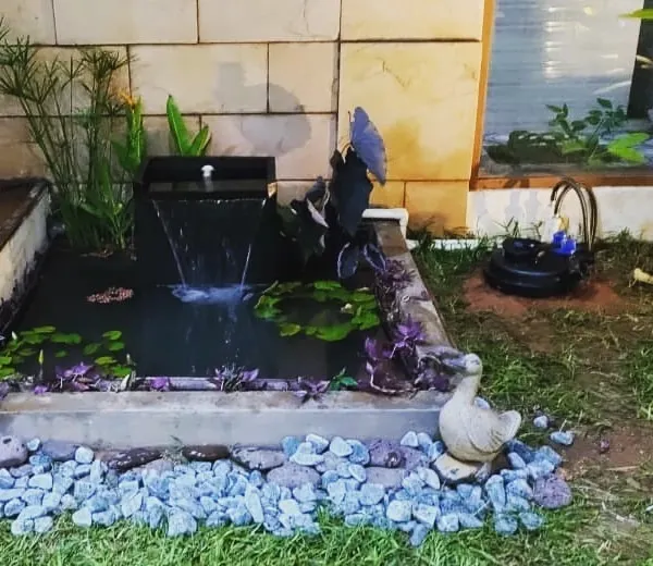 This is a sustainable bio-pond I executed for a client in Kalyan Nagar. It's a complete aquatic ecosystem with a small waterfall, water lilies, and other aquatic plants that creates a natural and relaxing environment.