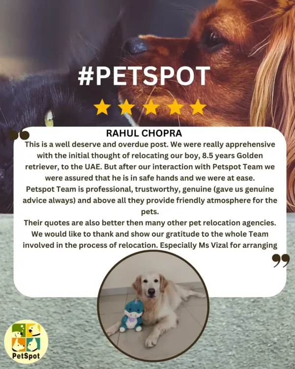A wonderful and detailed review from Dr. Rahul Chopra about his 8.5-year-old Golden Retriever's move to the UAE. I'm so glad I could provide a professional, genuine, and friendly atmosphere for his boy.