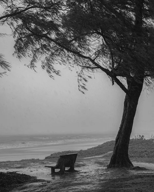 A moody, solitary scene captured in black and white. The rain and wind add a sense of drama to this quiet moment by the sea.