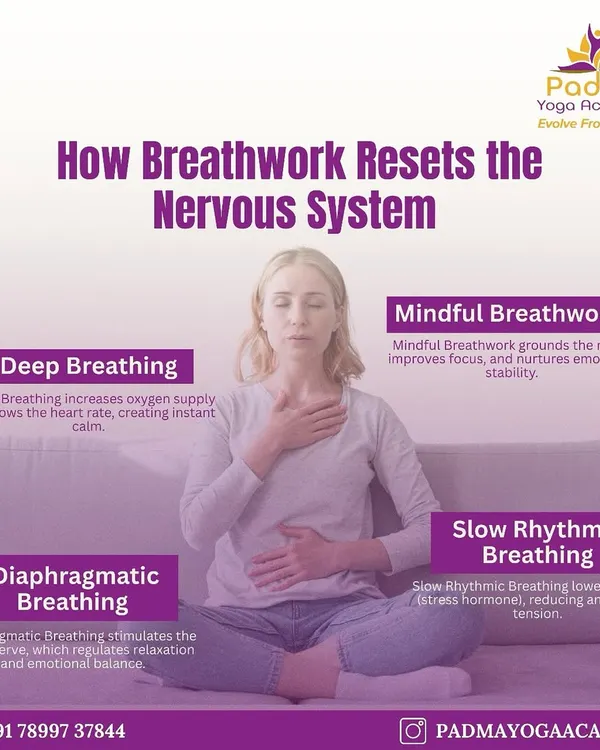 Learn how breathwork resets the nervous system. Techniques like deep, diaphragmatic, and slow rhythmic breathing can create instant calm and emotional stability.