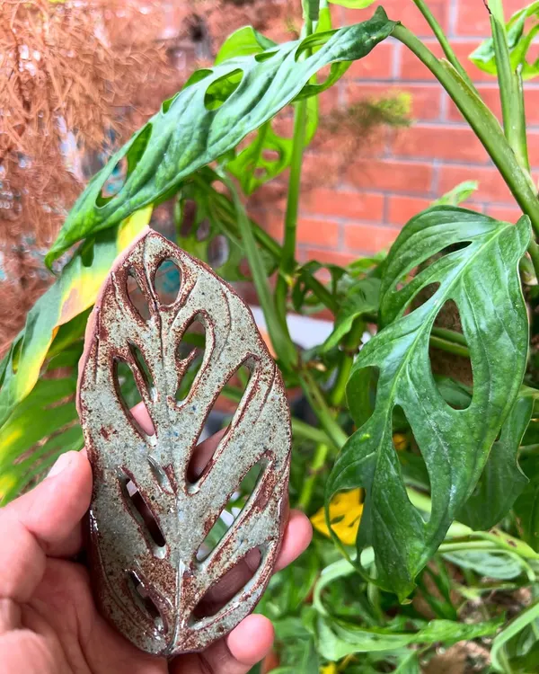 Inspired by nature, a student created this Monstera leaf spoon rest. The cut-outs mimic the natural holes in the leaf, showing great attention to detail.