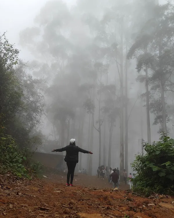 A trekker stands with arms outstretched in the iconic misty pine forests of Kodaikanal. It feels like walking into a dream.