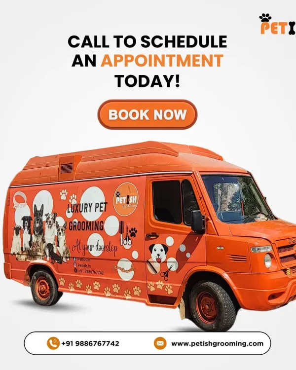 This is my custom-built mobile grooming van, ready to bring luxury pet care right to your home in Bangalore. Just call to schedule an appointment!
