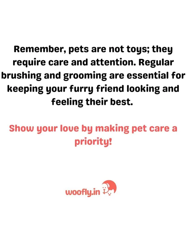 Making pet care a priority means paying attention to their grooming needs. Regular brushing is not just for appearance; it is essential for keeping your furry friend comfortable and healthy.