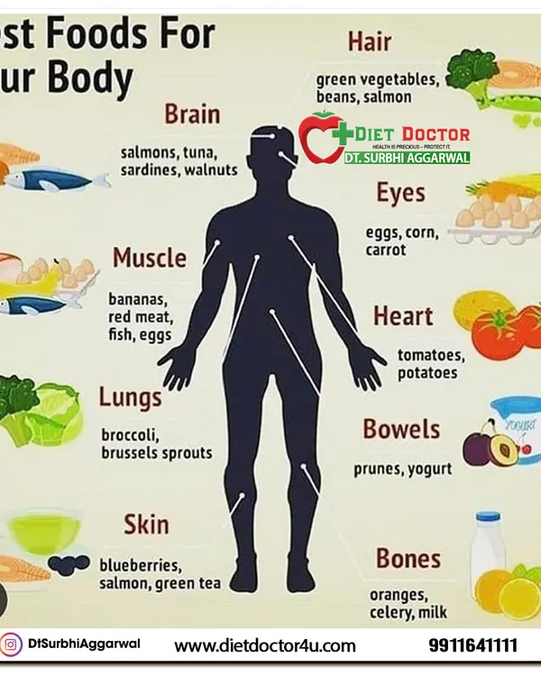 This infographic is a map to eating for your entire body. It shows which foods specifically benefit different organs, such as salmon for the brain, tomatoes for the heart, and green vegetables for your hair.
