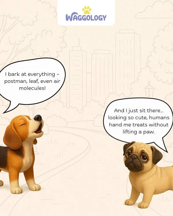This cartoon perfectly captures the two types of dog personalities. Some dogs bark at everything, while others have mastered the art of getting treats just by looking cute. Every dog is unique, and I love working with all of them.