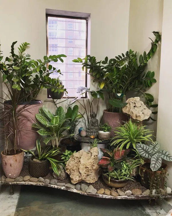 I transformed this simple lift lobby into a lush, tropical green corner. This arrangement uses a variety of low-light, low-maintenance plants like ZZ plants and aglaonemas, combined with natural stones and a calming Buddha statue to create a peaceful entryway.