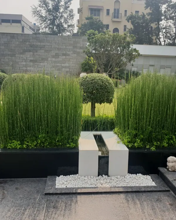 A close-up of a minimalist water feature where water gently flows between two white stone blocks, flanked by tall, sculptural horsetail reeds. This design exemplifies how simple, clean lines and natural textures can create a powerful and modern focal point.